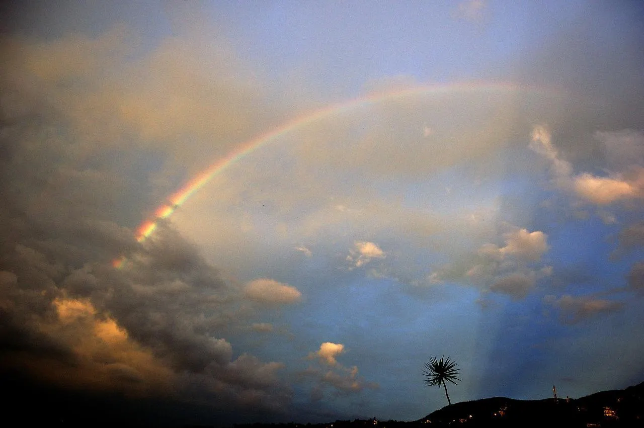 Evergreen Kandy 0*,